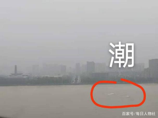 浪花旅行app维护