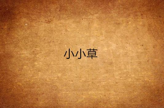 小草小说截图