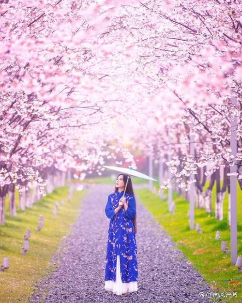 和樱花拍照穿什么衣服