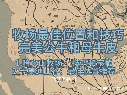 荒野大镖客2牧场物资上交地点
