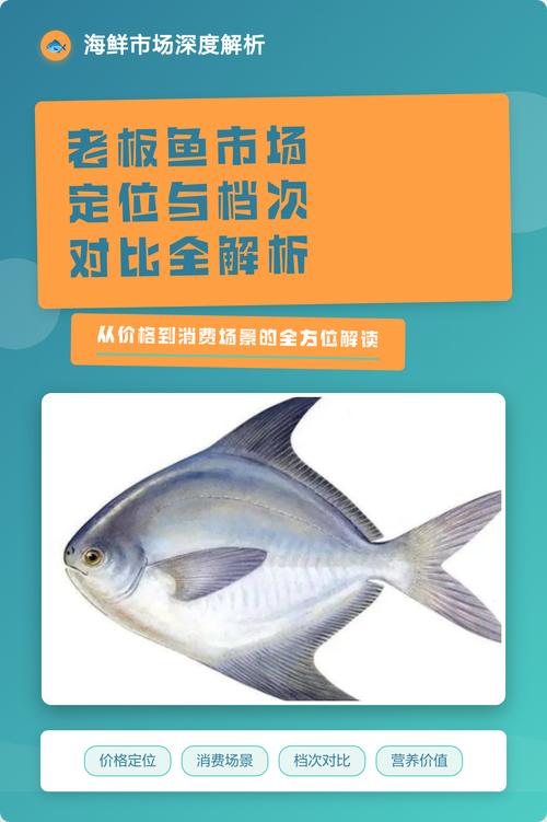 老板鱼属于什么档次截图