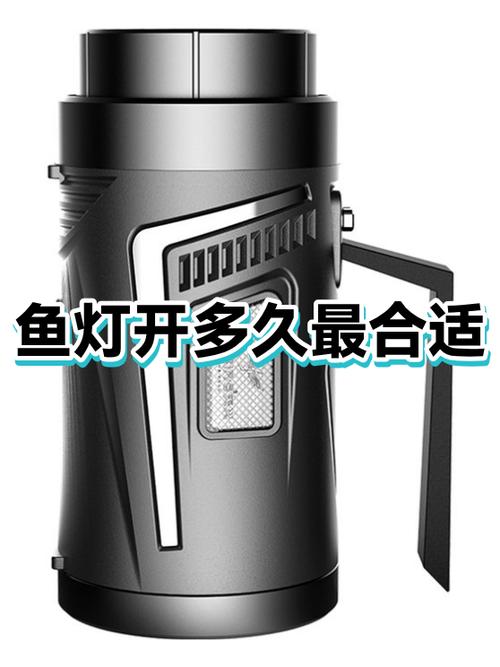 鱼缸灯什么时候开比较好
