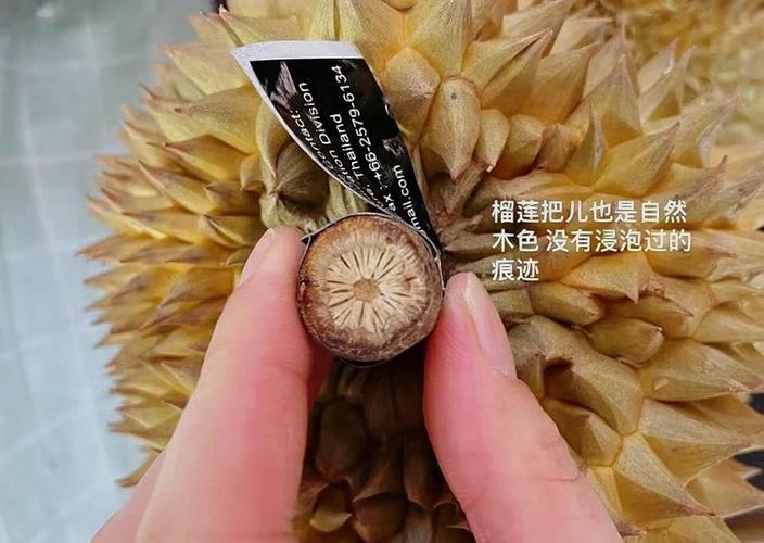 榴莲会自然熟吗