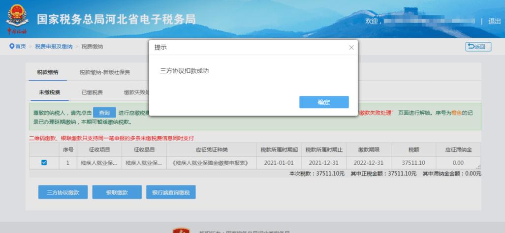 河北税务电子税务局