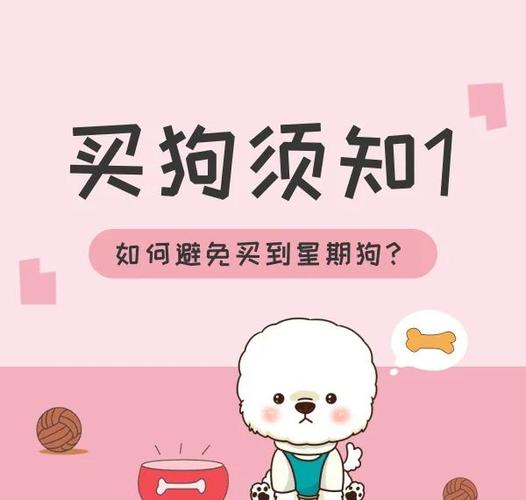 线上买狗狗有哪些平台