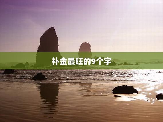补金最旺的9个字截图