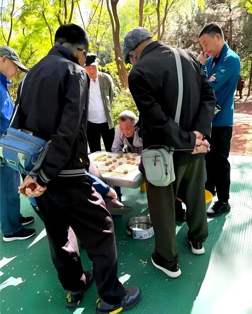 公园老大爷下象棋