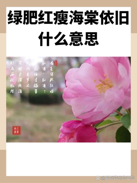 鸟道墨云中赞美的是什么截图