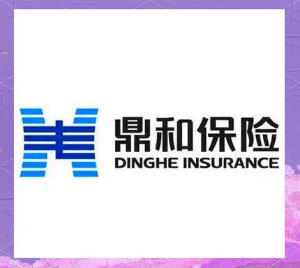 鼎和保险是正规公司吗缩略图