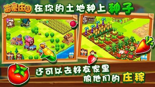 功夫农场富豪庄园怎么玩