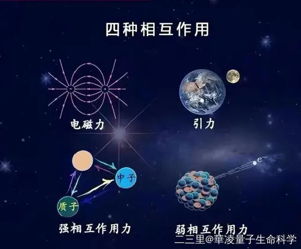量子的含义