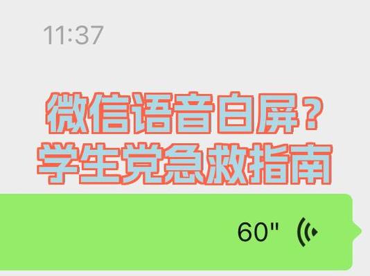 打一晚上微信语音伤手机吗截图
