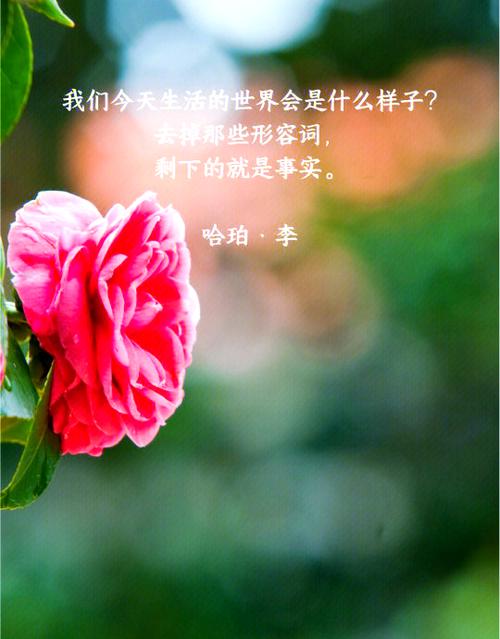 分享快乐的金句