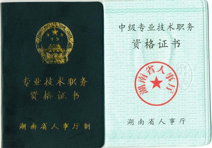 最容易拿到的中级职称图标