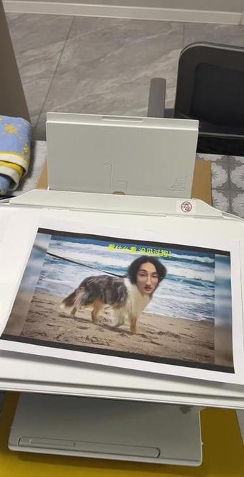 酷凡婚礼现场视频大全截图
