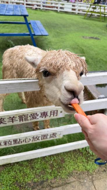 农场养什么动物
