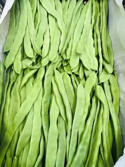 扁豆图标