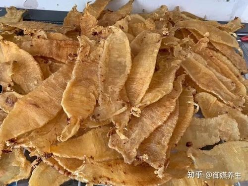 怎么判断鱼胶发霉变质了图标