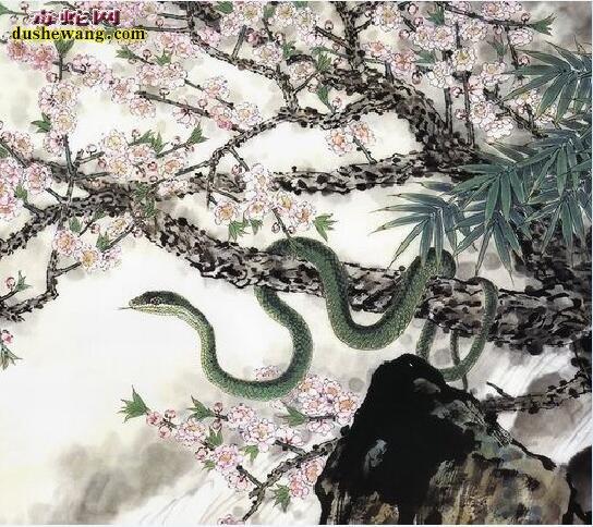 蛇缠红莲by不开