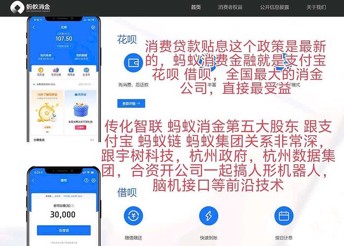 蚂蚁金融是花呗还是借呗