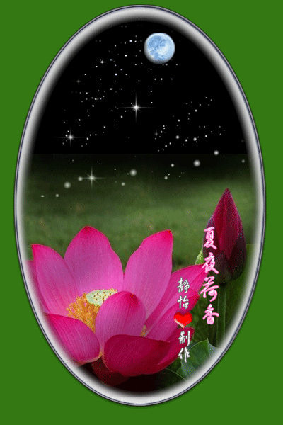 华为怎样把花拍成黑背景