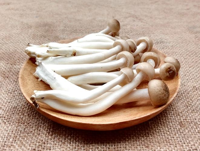 蟹味菇和海鲜菇的区别