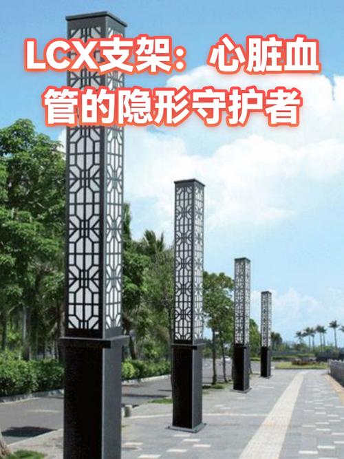 支架13年了一直没复查截图