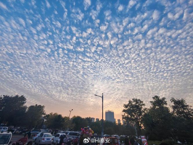 鱼鳞云代表什么天气截图