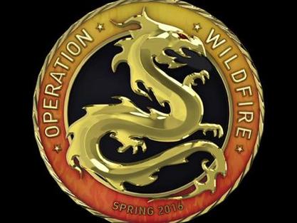 csgo徽章和胸章的区别图标
