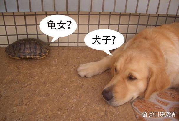 女生叫你狗儿子啥意思图标