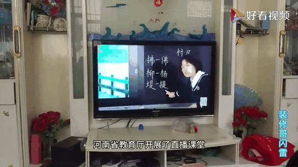 河南省同步课堂直播回放