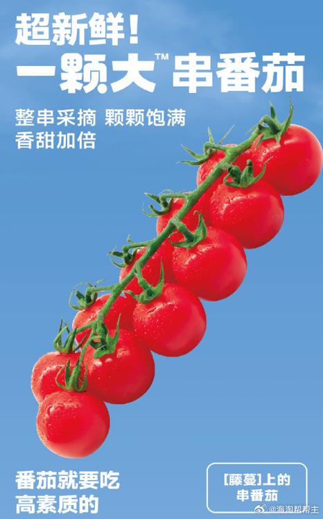 串番茄的营养价值及功效