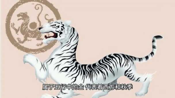 《山海经》赚金版下载