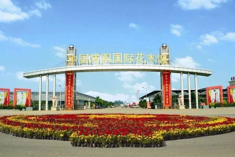提利昂兰尼斯特花乡沭阳截图