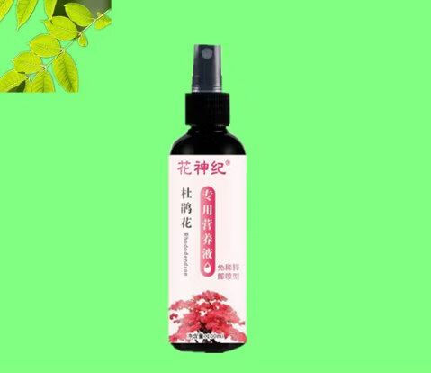 杜鹃花使用什么肥料最好截图