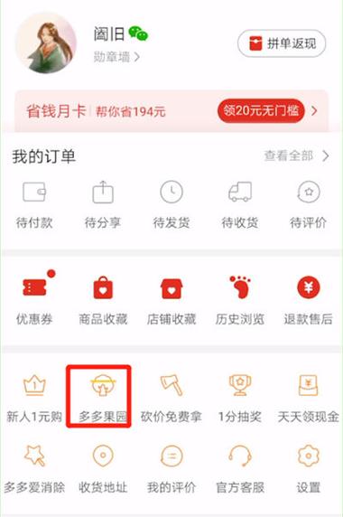 拼多多菜园入口在哪里图标