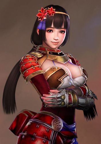 战国无双4女角色服装