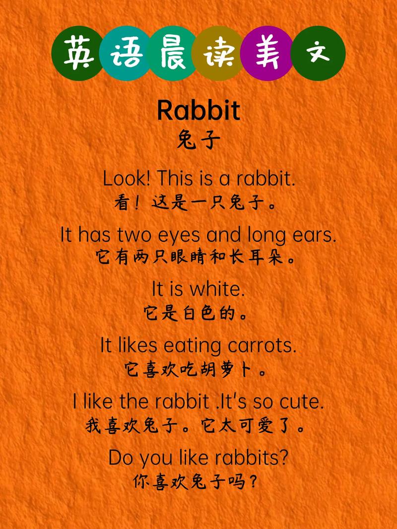 rabbits正确读音