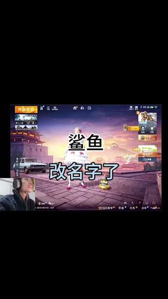 和平精英鲨鱼用的什么手机