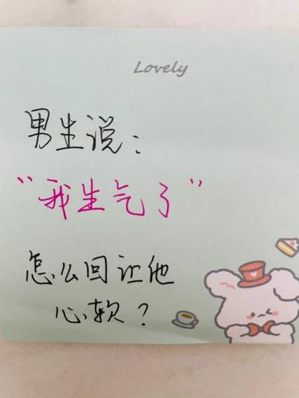 作文《他生气了》500