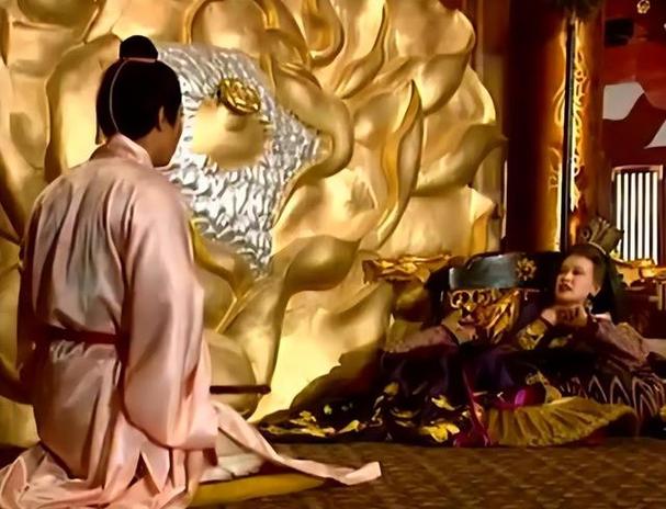 美婢男宠结局