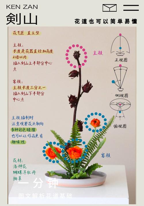 樱花草分解教学