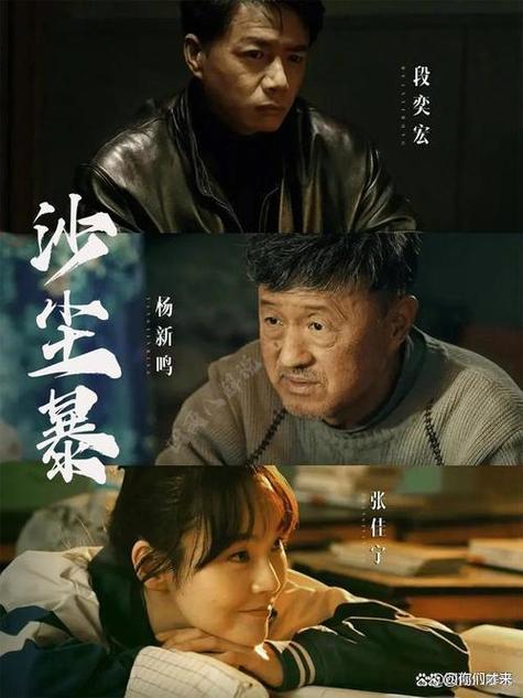 沙尘暴电视剧全集免费观看