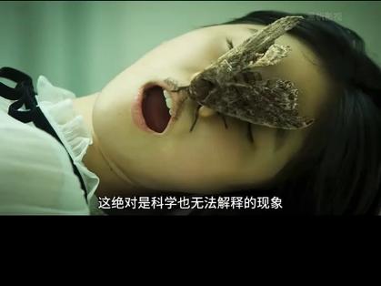 仓鼠咬了我后3天后死了