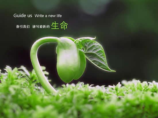 男人小弟割去一半还能活吗