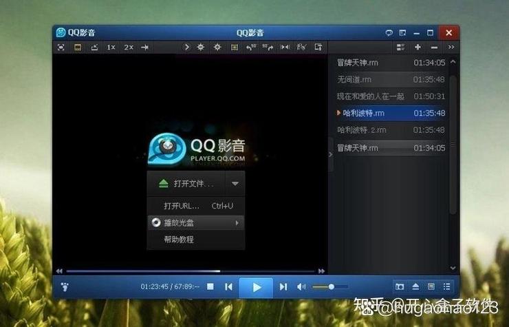 为什么下载的mv是mkv