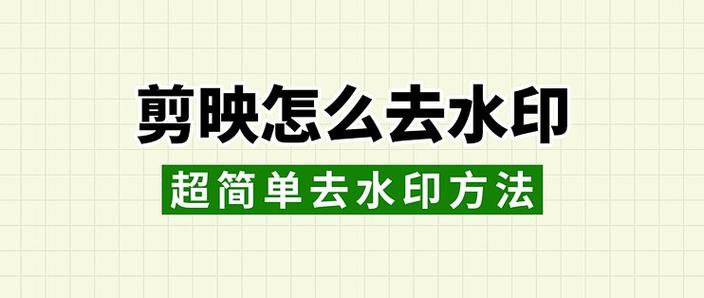 视频去水印步骤
