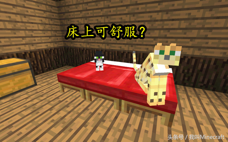 我的世界豹猫驯服后不跟随