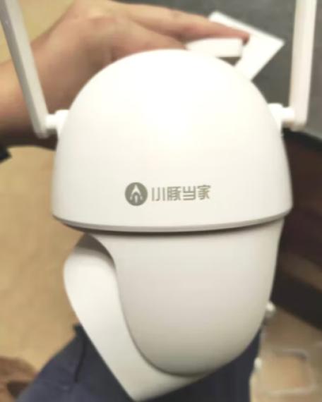 小豚当家官网截图