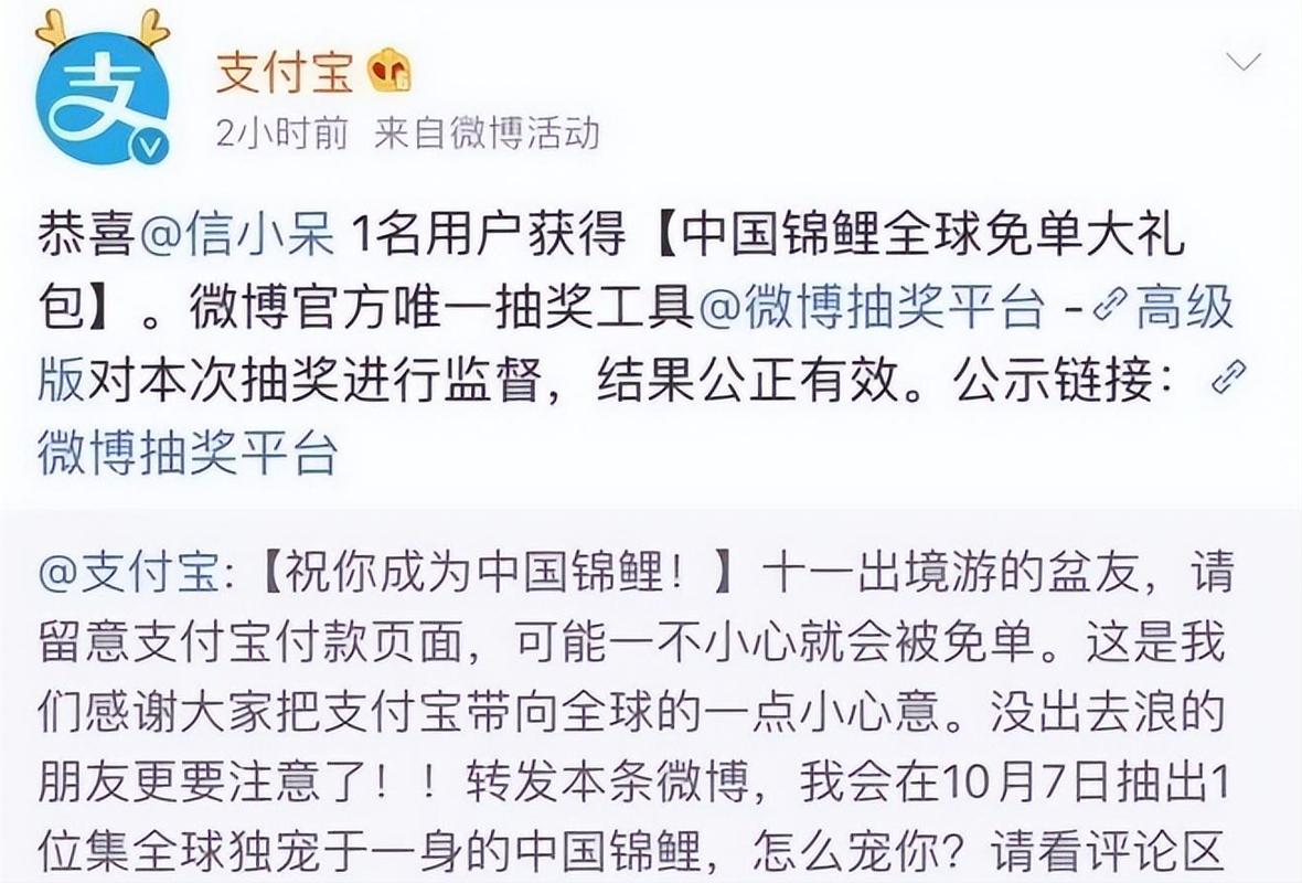支付宝锦鲤1亿元奖品